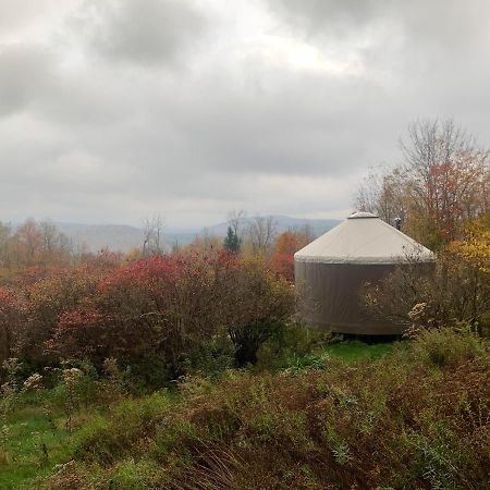 فندق Livingston Manor Yurt Parksville المظهر الخارجي الصورة