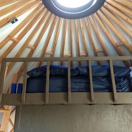 فندق Livingston Manor Yurt Parksville المظهر الخارجي الصورة