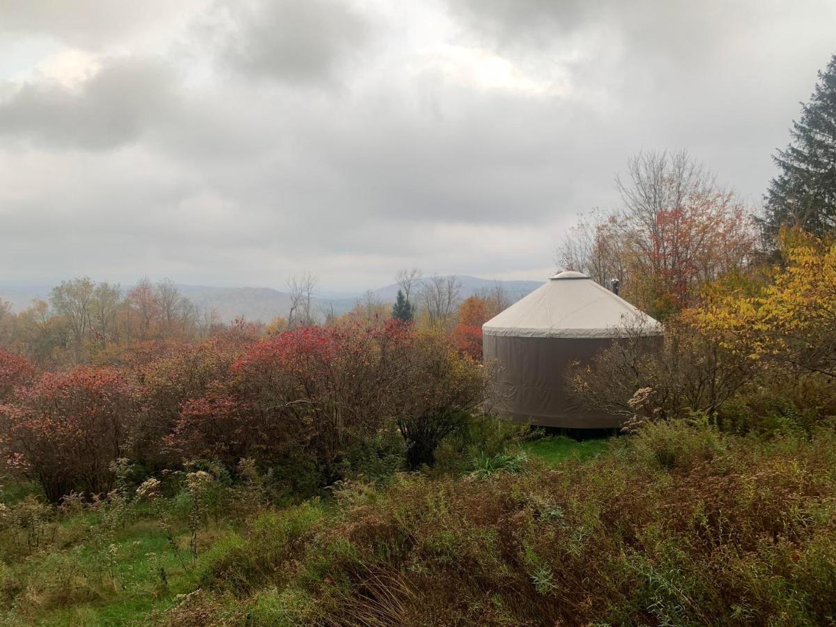 فندق Livingston Manor Yurt Parksville المظهر الخارجي الصورة