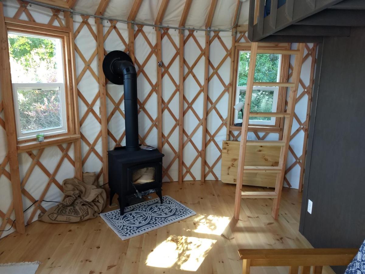 فندق Livingston Manor Yurt Parksville المظهر الخارجي الصورة